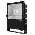 Meanwell Driver Fin Aluminum RGBW 3000k 50W COB LED Floodlight with WiFi Remote Controller